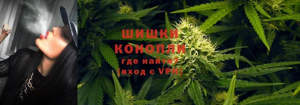 гидропоника Белокуриха